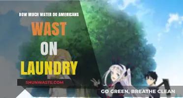 The Hidden Cost of Clean Clothes: America's Laundry Water Waste