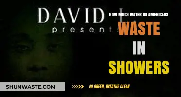 Shower Water Waste in America: A Hidden Environmental Impact