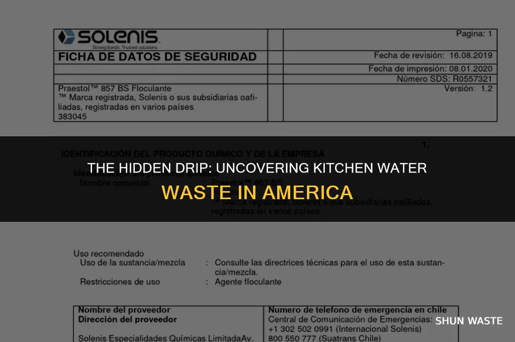 how much water do americans waste inthe kitcehn
