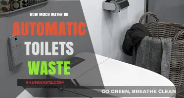 The Hidden Cost of Convenience: Water Waste in Automatic Toilets