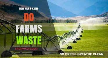 The Hidden Cost of Agriculture: Water Waste on Farms