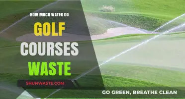 The Hidden Cost of Green: Water Waste on Golf Courses