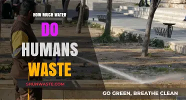 The Hidden Cost of Our Water Habits: A Deep Dive into Human Water Waste