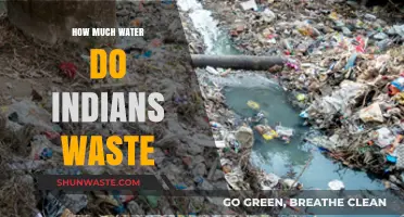 Examining Water Waste in India: A Critical Look at Conservation Efforts