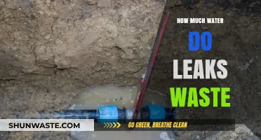 The Hidden Cost of Leaks: Wasted Water and Its Impact