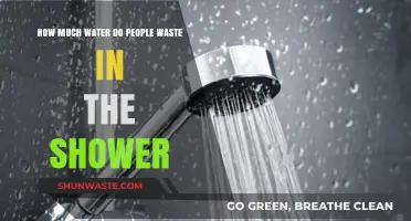 Shower Water Waste: A Hidden Culprit in Our Daily Routine