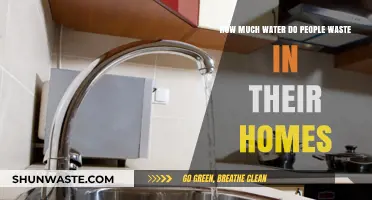 The Hidden Drip: Uncovering Home Water Waste Habits