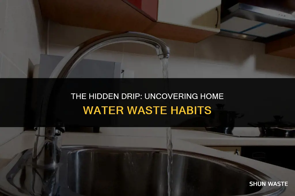 how much water do people waste in their homes