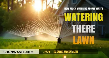 The Hidden Cost of Green: Lawn Watering Waste Uncovered