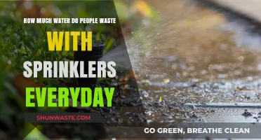Everyday Water Waste: The Hidden Impact of Sprinkler Systems