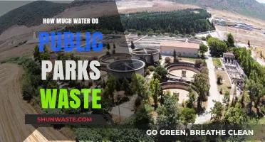 The Hidden Cost of Green Spaces: Water Waste in Public Parks