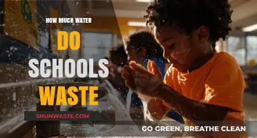 The Hidden Cost of Education: Water Waste in Schools