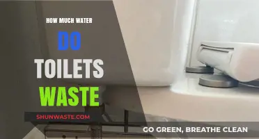 The Hidden Water Waste: A Deep Dive into Toilet Efficiency