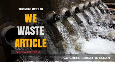 The Hidden Cost of Our Daily Habits: Water Waste Uncovered