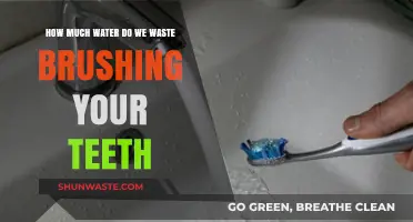 The Surprising Amount of Water Wasted Brushing Our Teeth