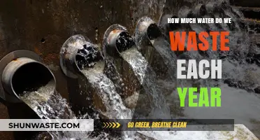 Annual Water Waste: A Shocking Look at Our Hidden Habits