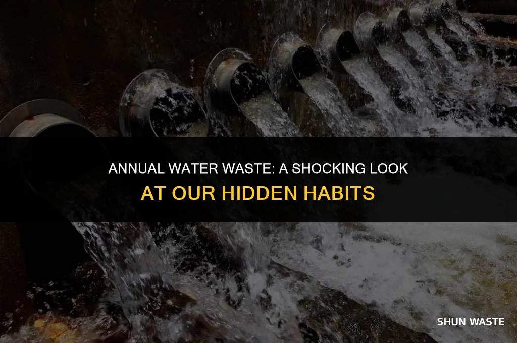 how much water do we waste each year