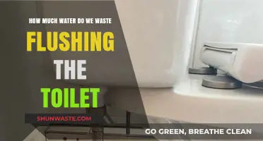 The Hidden Waste: Uncovering the Truth About Toilet Flushing