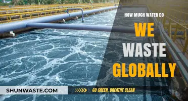 Global Water Waste: A Shocking Reality and What We Can Do