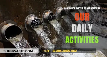 Unseen Drip: The Surprising Amount of Water We Waste Daily