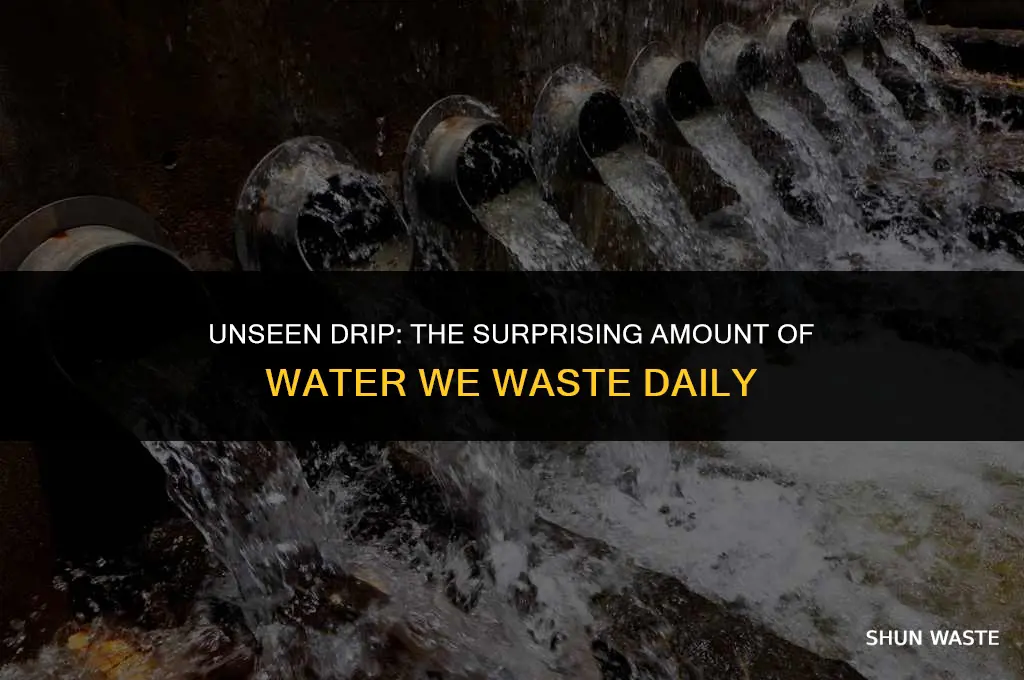 how much water do we waste in our daily activities