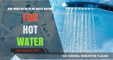 The Hidden Cost of Comfort: Water Waste While Waiting for Hot Water