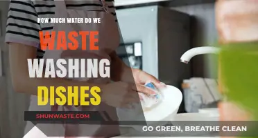 Dishwashing Dilemmas: Uncovering the Hidden Water Waste in Our Kitchens