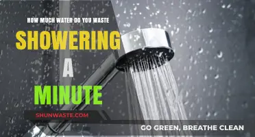 Every Drop Counts: Uncovering the Hidden Water Waste in Your Shower