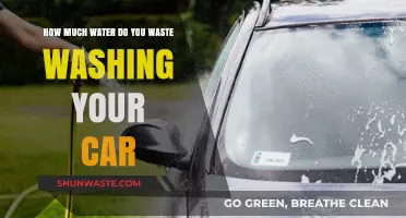 The Hidden Cost of Car Washes: Water Waste Exposed