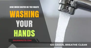 Handwashing Habits: Uncovering the Hidden Water Waste