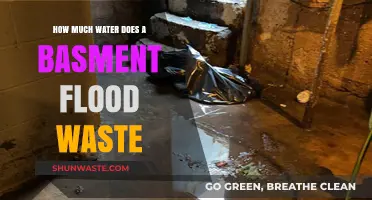 Basement Flooding: Understanding the Water Waste Impact
