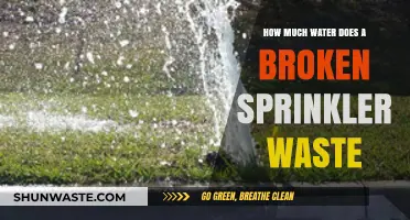 The Hidden Cost of a Broken Sprinkler: Water Waste and Environmental Impact