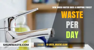 Daily Water Waste from a Dripping Faucet: An Environmental Concern