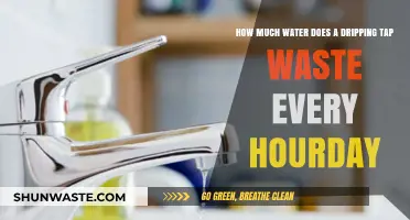 The Hidden Cost of a Dripping Tap: Water Waste Unveiled