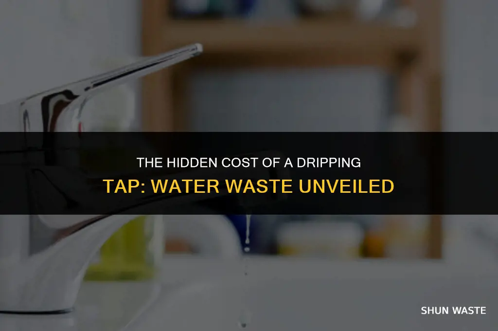 how much water does a dripping tap waste every hourday