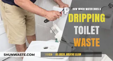 The Hidden Cost of a Dripping Toilet: Water Waste Unveiled