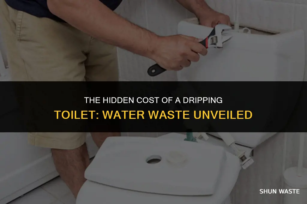 how much water does a dripping toilet waste