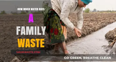 The Hidden Cost of Water Waste: A Family's Guide to Conservation