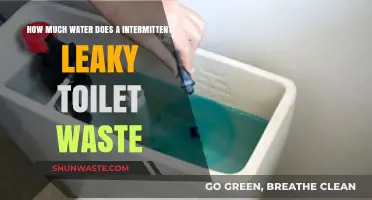 Drip by Drip: The Hidden Water Waste of Intermittent Leaky Toilets