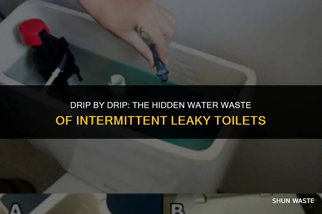 how much water does a intermittent leaky toilet waste