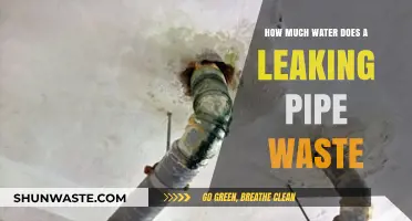 The Hidden Cost of a Dripping Tap: Water Waste Unveiled