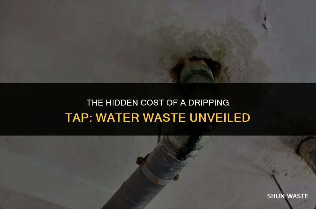 how much water does a leaking pipe waste