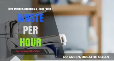 Drip by Drip: The Hidden Water Waste of a Leaky Faucet