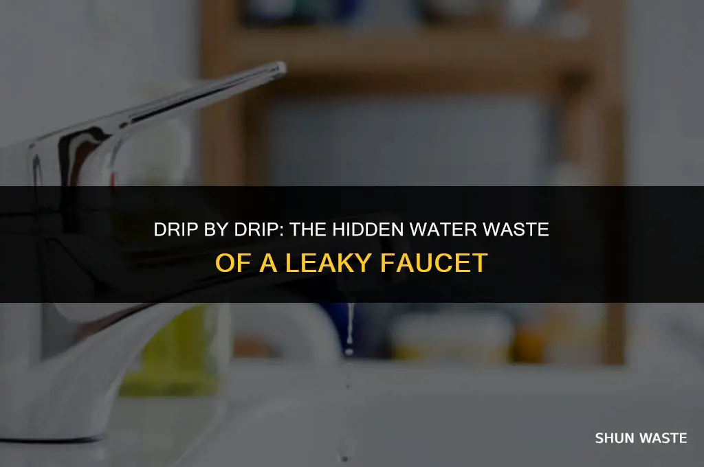 how much water does a leaky faucet waste per hour