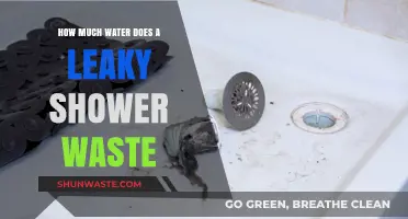 Drip by Drip: The Hidden Water Waste of Leaky Showers