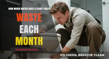 The Hidden Cost of a Leaky Toilet: Monthly Water Waste Revealed