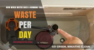 Daily Water Waste: The Hidden Cost of a Running Toilet
