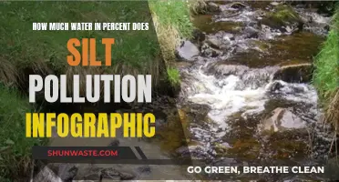 Visualizing Silt's Impact: Water Pollution Infographic Explained