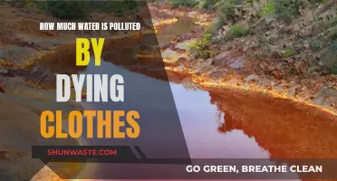 The Hidden Cost of Fast Fashion: Water Pollution Crisis