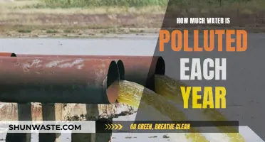 Global Water Crisis: The Shocking Amount of Pollution Each Year